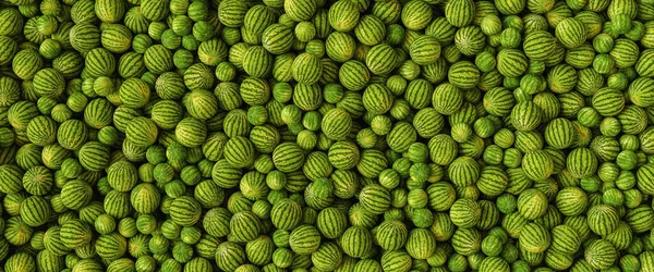 Πολλά Μεγάλα Γλυκά Πράσινα Καρπούζια Και Ένα Κόψιμο Πάνω Όψη — Φωτογραφία Αρχείου