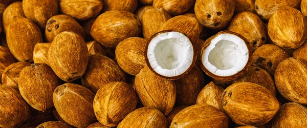 Kokosový Ořech Rozříznutý Půl Celý Ekologické Farmě Hodně Nebo Hromada — Stock fotografie