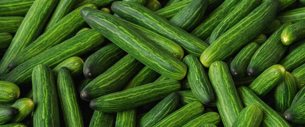 Stapel Komkommers Markt — Stockfoto
