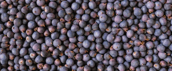 Fresh Ripe Figs Background Banner Size — Stock Photo, Image