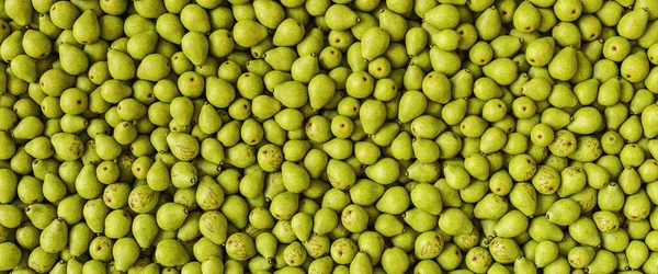 Багато Pears Фон Розмір Знамена — стокове фото