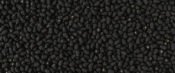 新鮮な熟したブラックベリーを背景として トップビュー バナーサイズ — ストック写真