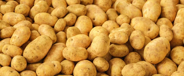 Patatas Jóvenes Orgánicas Frescas Vendidas Mercado —  Fotos de Stock