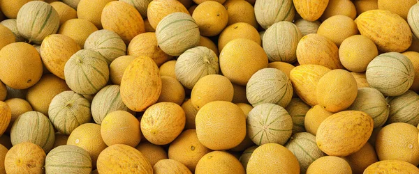 Arbuzy Melony Miodowe — Zdjęcie stockowe