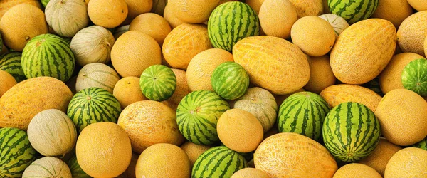 Gran Pila Sandías Melones Melón —  Fotos de Stock