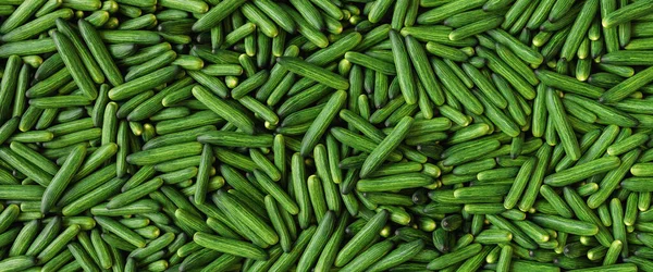 Pazar Manzaralı Bir Sürü Salatalık Salatalık Uzun Salatalık Sebze Hasadı — Stok fotoğraf