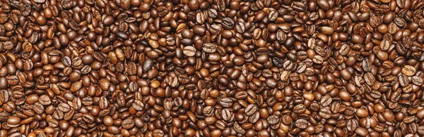 Roasted Coffee Beans Background Texture Backdrop Banner Size — Stockfoto