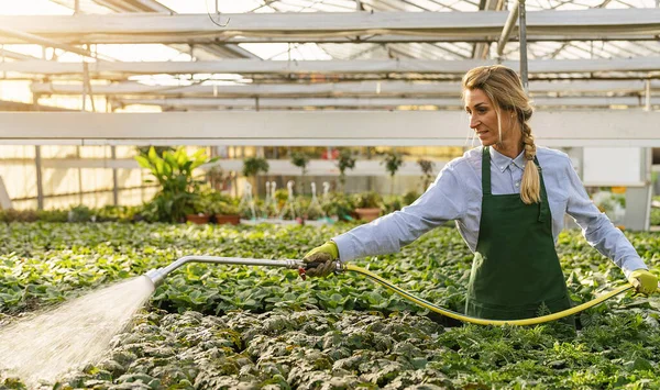 Genç bahçıvan, duş başlığı ve bebek odasında hortumla bitkileri suluyor.