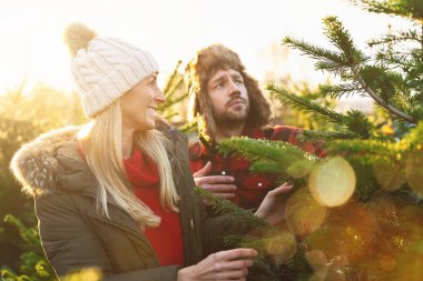 Bir çift Noel ağacı ararken eğleniyor