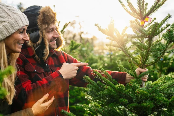 Cuplu Fericit Care Caută Cumpere Pom Crăciun Își Îndreaptă Degetul — Fotografie, imagine de stoc