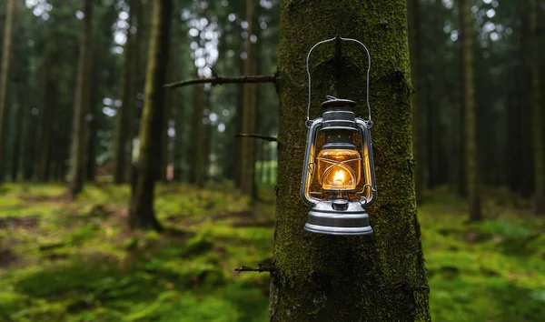 kerosene lamp or oil lamp used at dusk hangs on a tree in a dark forest