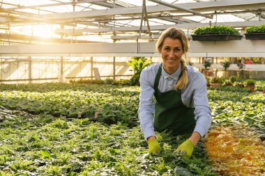 Çiçekçilik yapan bir kadın. Bahçedeki çiçek ve bitkilerle ilgileniyor.