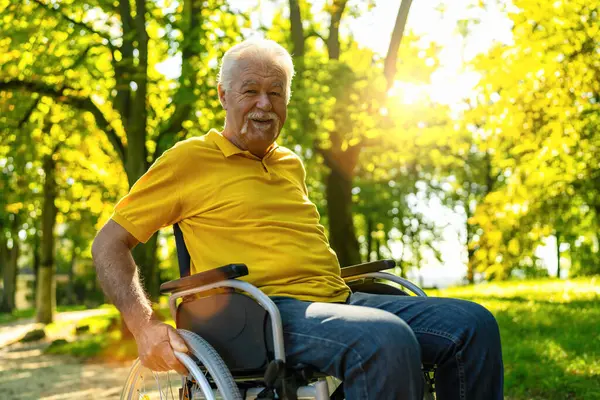 Happy senior handicapped man sit in wheelchair during walk in park, mature disabled old man grandfather in invalid carriage or wheel chair, elderly disability concept image