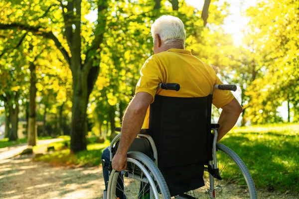 senior handicapped man sit in wheelchair during walk in park, mature disabled old man grandfather in invalid carriage or wheel chair, elderly disability concept image