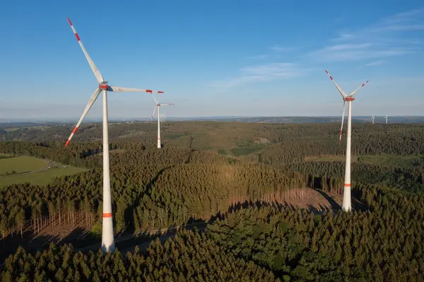 Wind turbines towering over a forested landscape with shadows cast by the evening sun. Renewable energy concept image