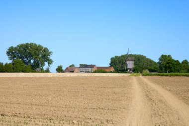Flanders Flaman Ardennes Belçika 'da nadasa edilmiş arazi ve ufukta klasik yel değirmeni.