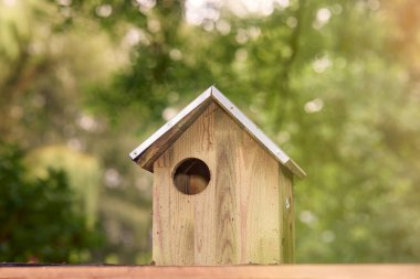 Koruyucu metal çatısı olan büyüleyici bir ahşap kuş evi açık havada, yumuşak güneş ışığıyla yıkanır. Basit tasarımı ve yuvarlak girişi, güzel bir arka planda kurulmuş rahat bir sığınak sunuyor..