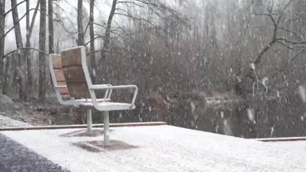 Puste Drewniane Ławki Jeziorze Podczas Zimowych Opadów Śniegu Wysokiej Jakości — Wideo stockowe