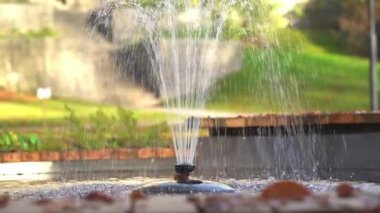 Göletin ortasında yaprakları olan bir çeşme ile çiçek bahçesindeki balık havuzu manzarası. Yüksek kalite 4k görüntü