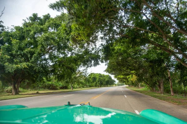 Vista Interior Clássico Carro Cubano Verde Com Árvores Verdes Estrada — Fotografia de Stock