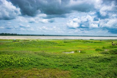 Yeşil çayır ve gölet mavi bulutlu gökyüzü. Çimen nehri gökyüzü.