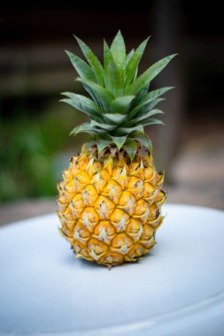 Yeşil arka planda ananas