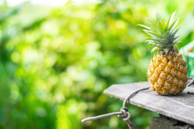 Yeşil arka planda ananas