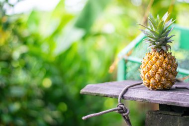 Yeşil arka planda ananas