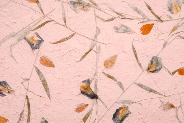 Mulberry Paper Texture Background Close — Foto de Stock