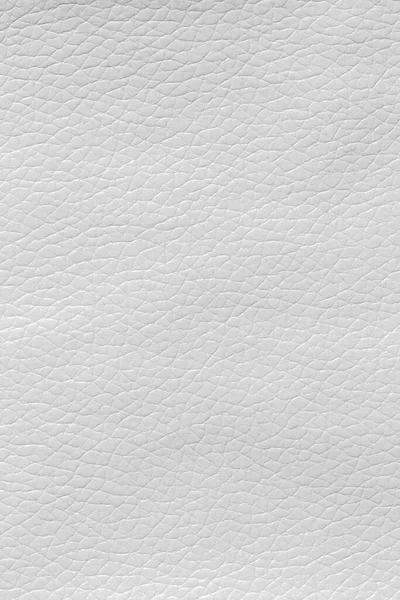 Белая Кожа Текстурированный Фон — стоковое фото