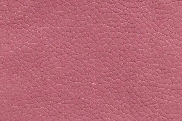 Pink Leather Textured Background — Stock Photo, Image