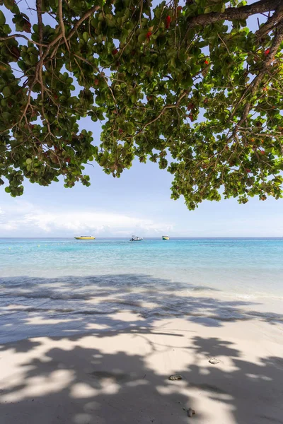 Similan Adaları 'ndaki Andaman Denizi' nin güzel doğası, Mu Ko Similan Ulusal Parkı..