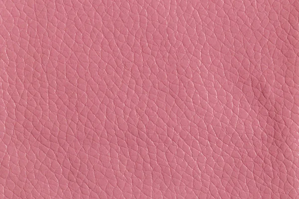 Stitched Pink Leather Stock Photo - Download Image Now