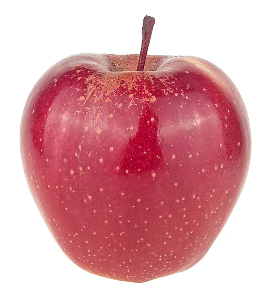Μονό Φρέσκο Κόκκινο Μήλο Στέλεχος Που Απομονώνεται Λευκό Φόντο — Φωτογραφία Αρχείου