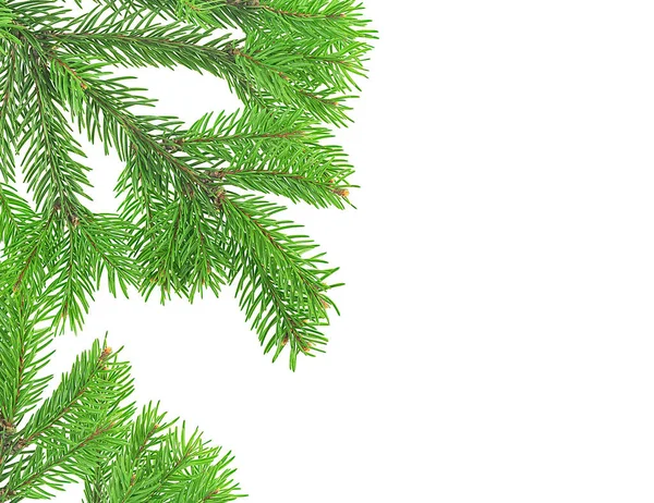 Karácsonyi Zöld Keret Elszigetelt Fehér Háttérrel Zöld Fenyőágak — Stock Fotó