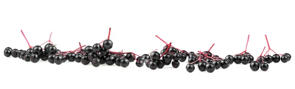 Siyah Elderberry Taze Meyve Beyaz Arka Planda Izole Manzara — Stok fotoğraf