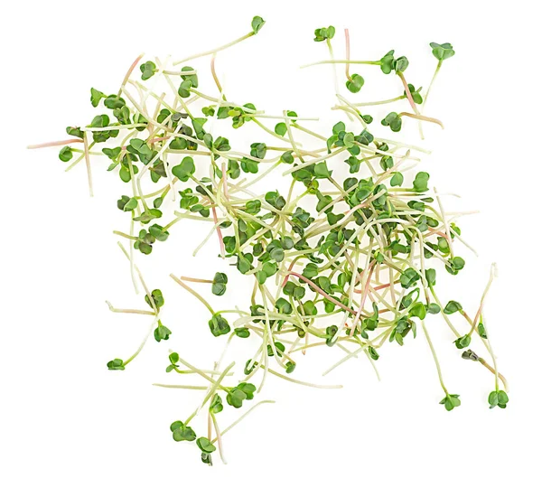 Вид Сверху Зеленые Семена Редьки Изолированные Белом Фоне Водопад Микрозелень — стоковое фото