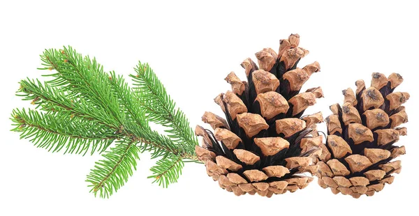 Fir Branch Christmas Pine Cones Isolated White Background Christmas Decoration — Stock Photo, Image