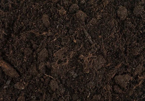 Textured Fertile Soil Background Gardening Season — Stock Photo, Image