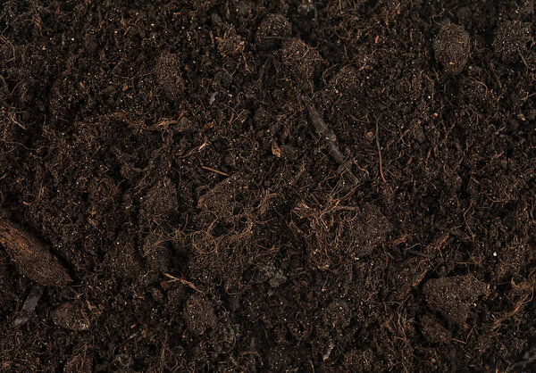 Textured fertile soil for the background. Gardening season.