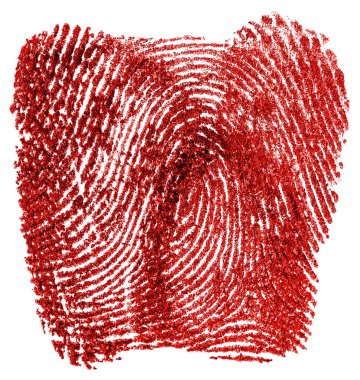 Red ink fingerprint isolated on a white background. Real bloody fingerprint, top view.
