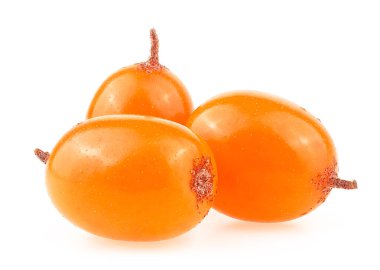 Fresh ripe berries of sea buckthorn isolated on a white background, macro.
