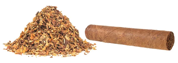 Högen Med Torkad Tobak Och Brun Cigarr Isolerad Vit Bakgrund — Stockfoto