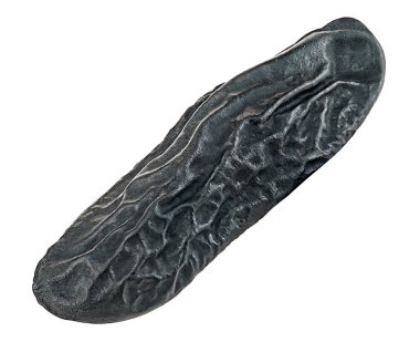 Kurutulmuş tonka fasulyesi beyaz arka planda izole edilmiş. Dipteriks kokulu fasulye. Cumaru..