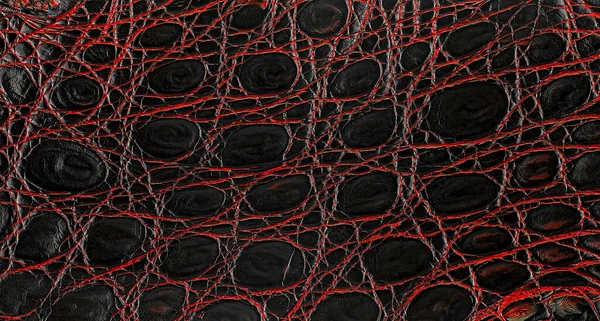 天然ワニ革の背景 ワニ皮の質感 黒と赤 — ストック写真