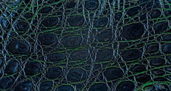 Hintergrund Aus Farbigem Nassen Krokodilleder Textur Der Alligatorhaut — Stockfoto