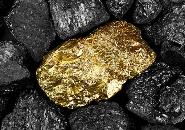 Big shiny golden nugget on black coals, top view. Gold mine ore.