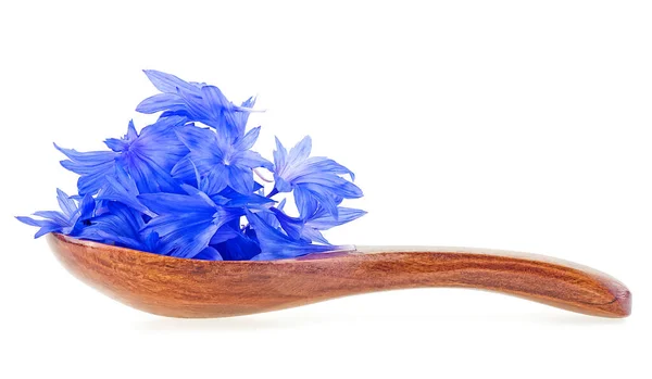 蓝色的新鲜的玉米花花瓣 用木制勺子隔离在白色的背景上 单身纽扣花瓣 — 图库照片