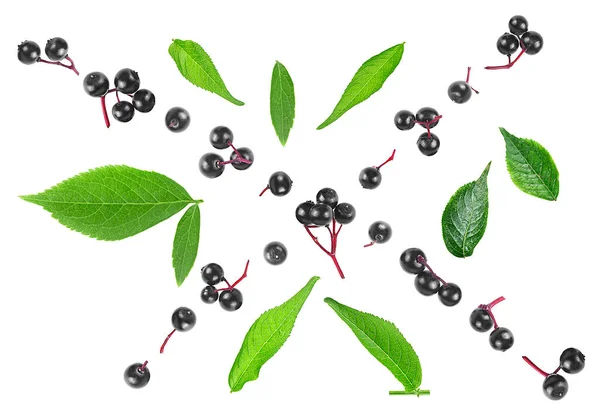 Beyaz Arka Planda Siyah Elderberry Meyveleri Yeşil Yapraklar Üst Manzara — Stok fotoğraf