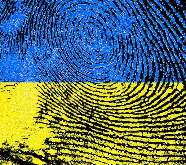Fingerprint Color National Flag Ukraine Background Fingerprint Black Background — Stock Photo, Image